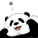 🌟小迪迪2020
