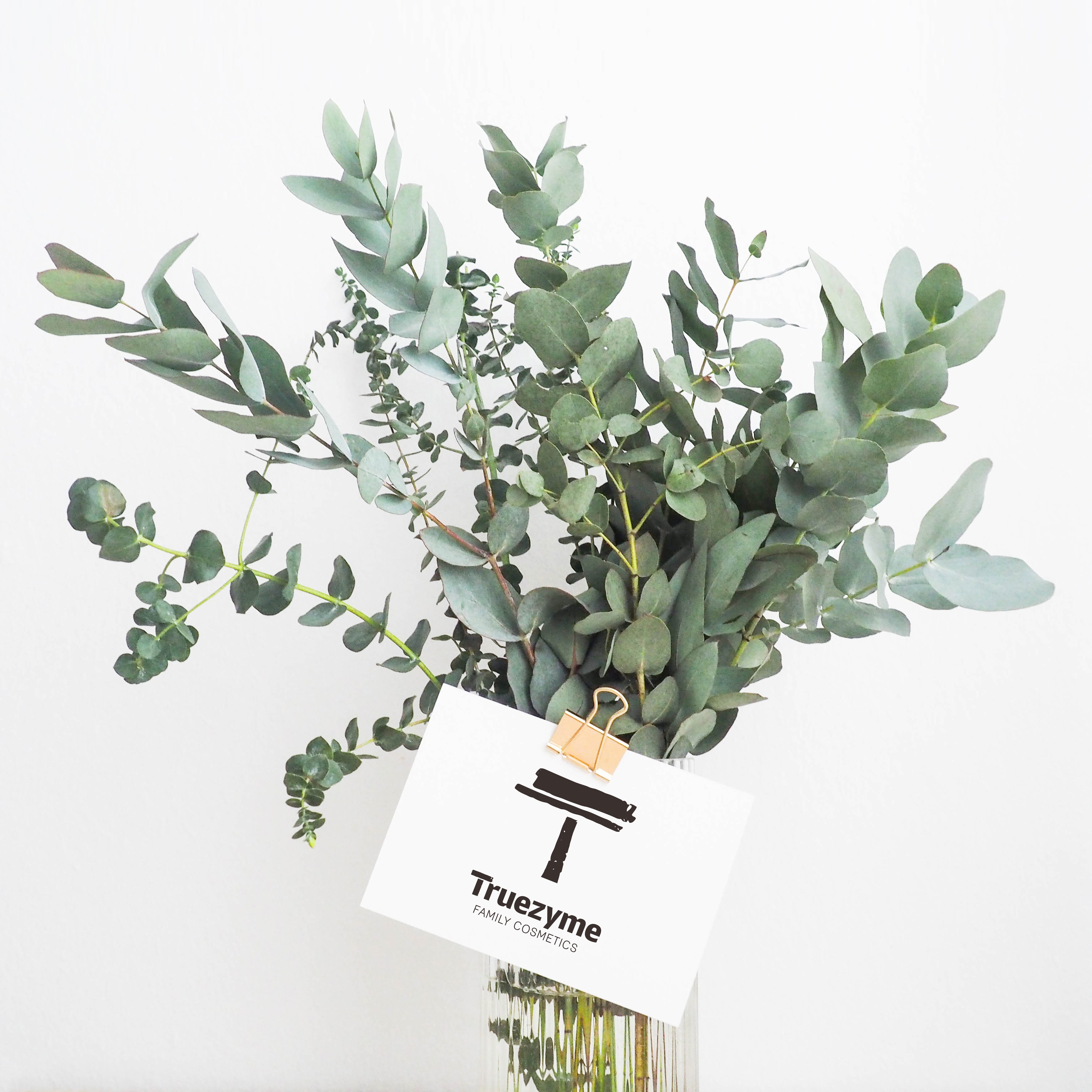 Truezyme