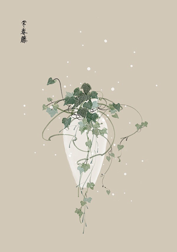 水彩植物花卉插画artistic青尘绘