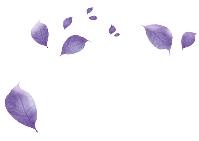 花瓣素材