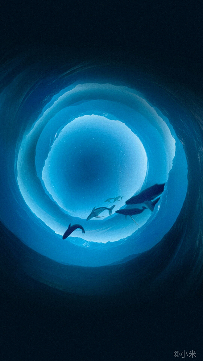 08:12:21蓝鲸4喜欢动漫漫画人物同人采集xcjlqgeg该采集也在以下画板