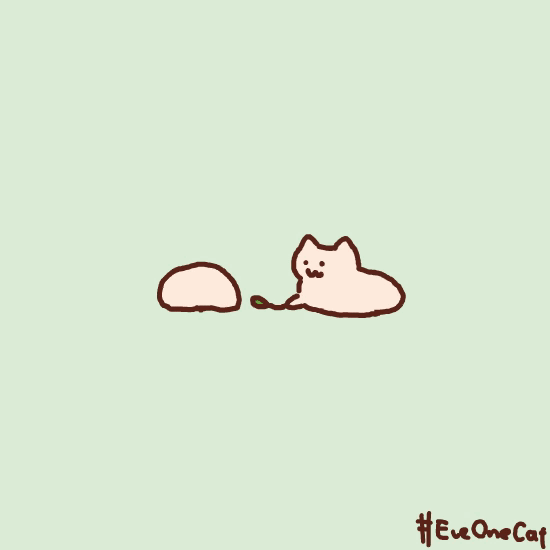 com该采集也在以下画板加载更多