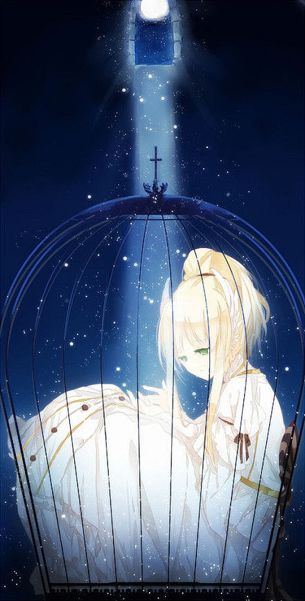 玻璃新娘从落花煮雨转采于2014-01-15 10:48:57牢笼二次元----晚安