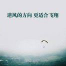 旦旦*321