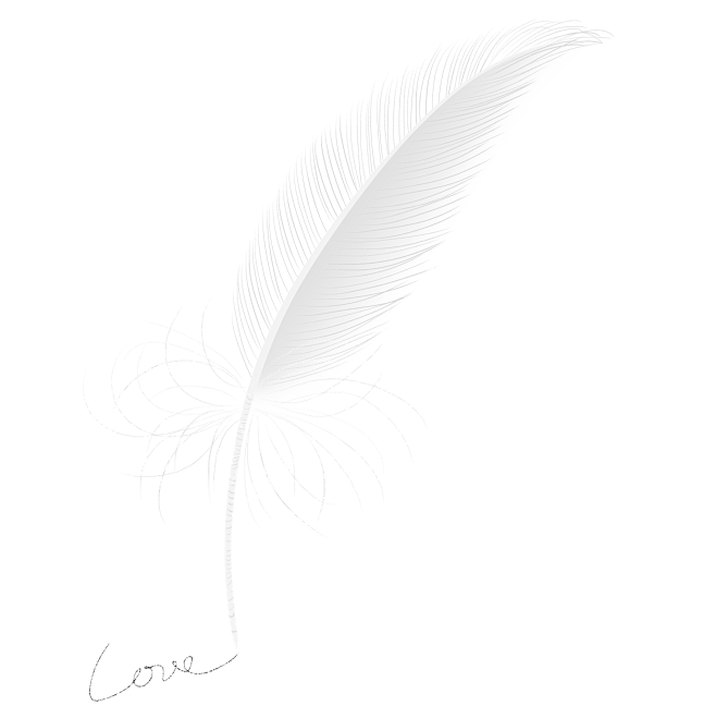 ps高清唯美羽毛素材png免抠图片/透明背景/psd素材影楼婚纱照后期