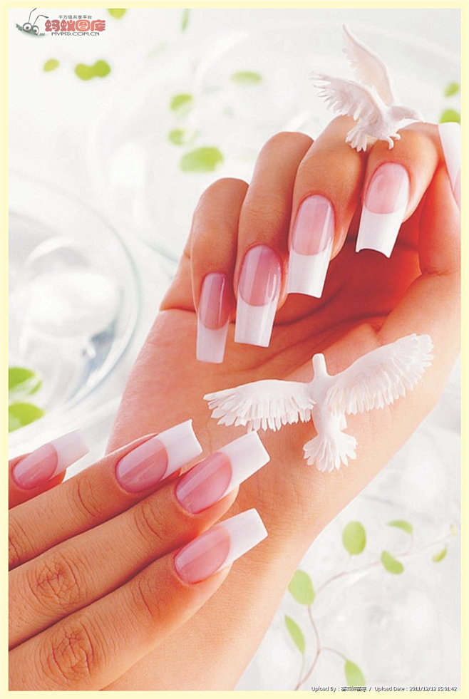 美甲海报图片素材