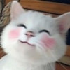 ●﹎下一季╮