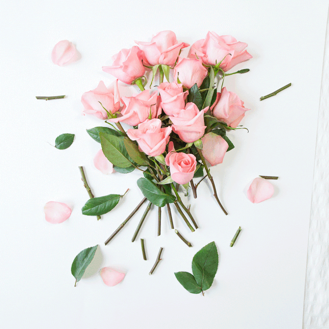 枊迺雖z董掸!欓