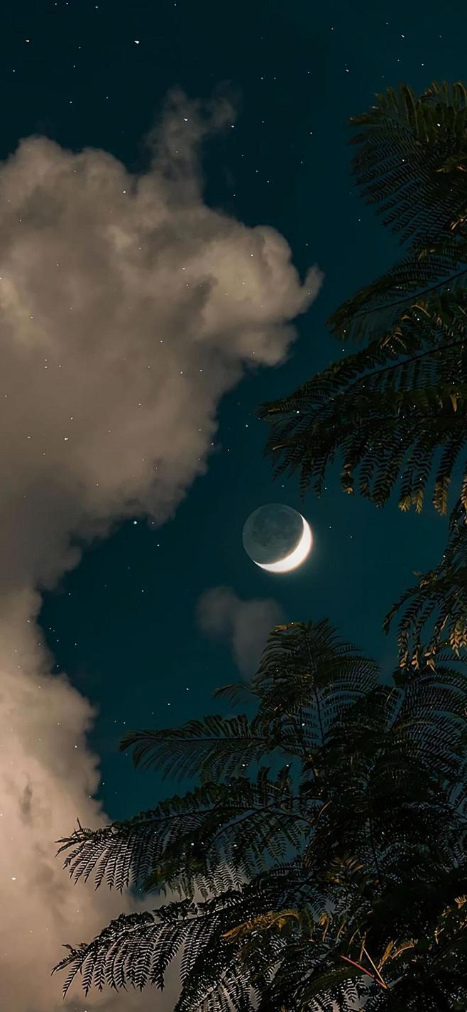 星空壁纸聊天背景