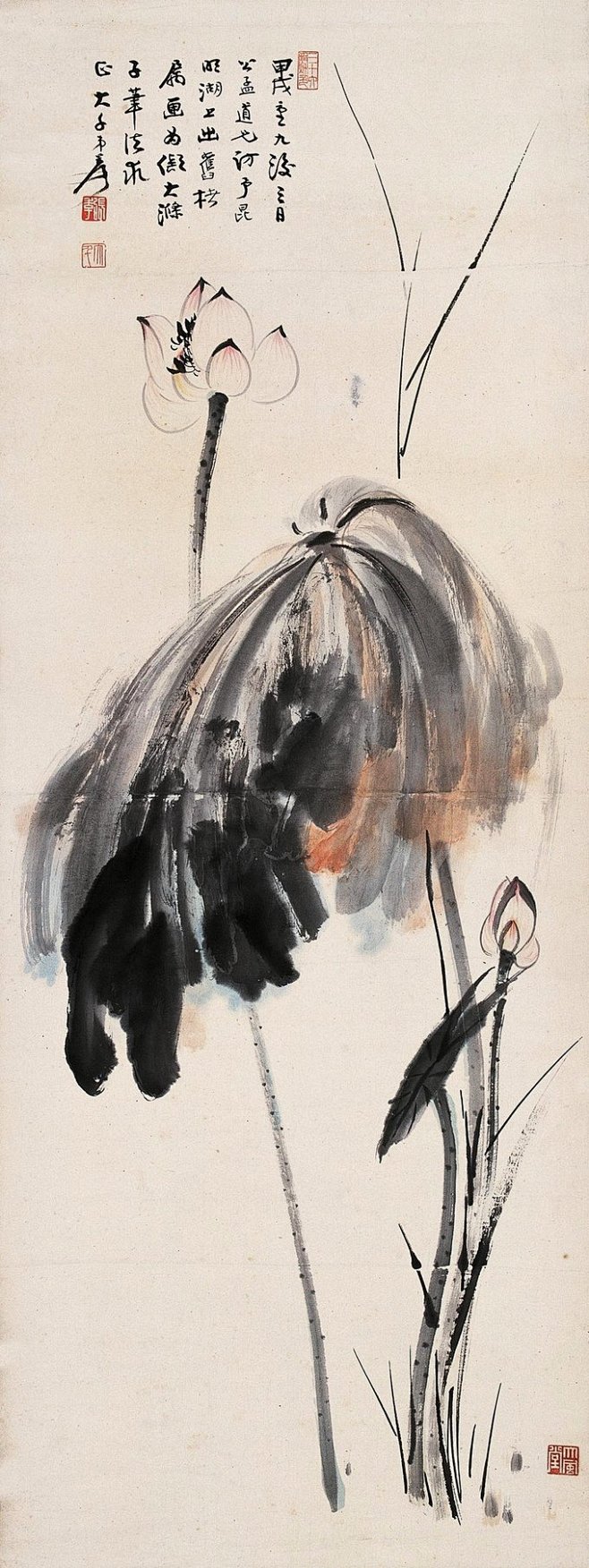 国画大师张大千荷花作品赏析