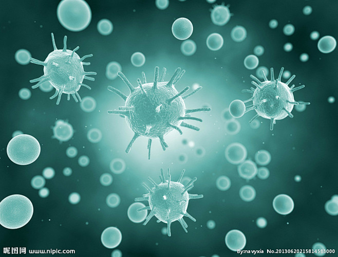 病毒细菌微生物