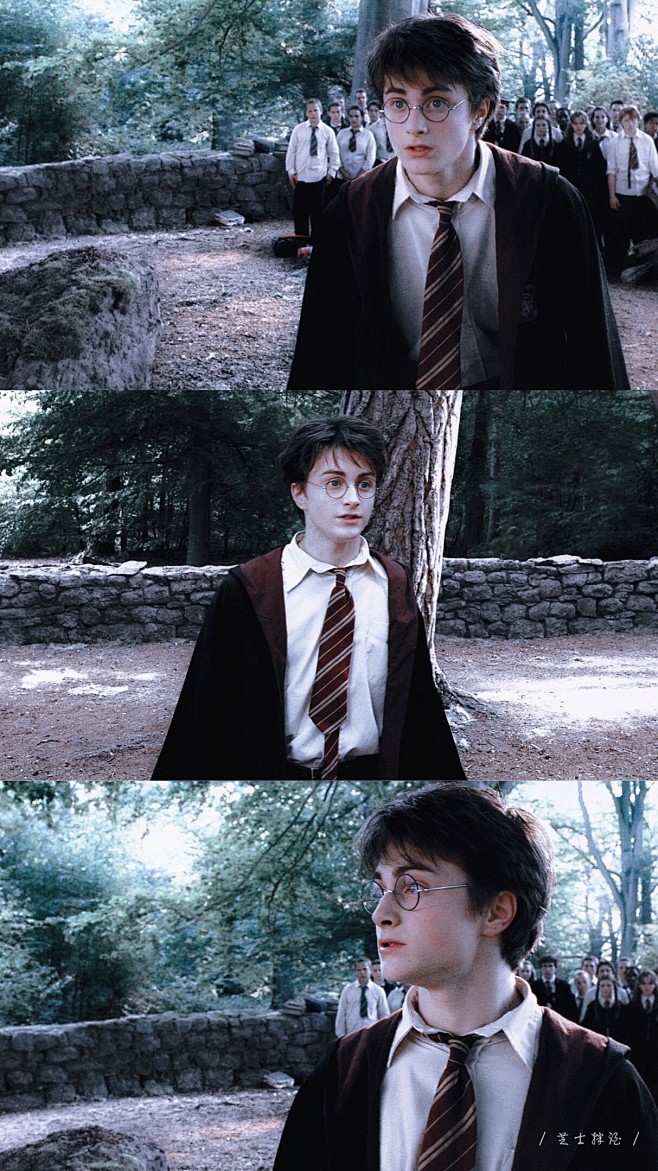 哈利波特霍格沃兹harrypotter