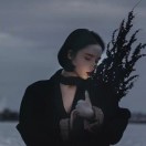 哈雷///
