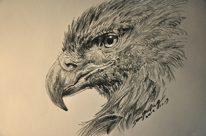还是不大喜欢传统素描纸的粗糙面如果画动物素描纸不能刻画细节而且