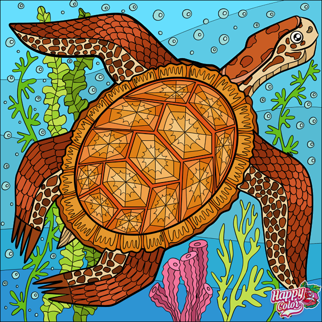 云端时光从月色溶溶蝴蝶梦转采于2021-12-17 10:52:27海龟儿童画云端