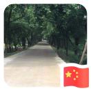 lisifei87