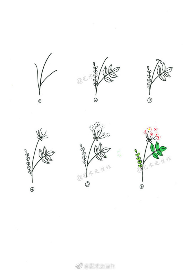 q9itm_蒲公英从言小温转采于2019-06-27 15:36:50植物简笔画手绘画q9