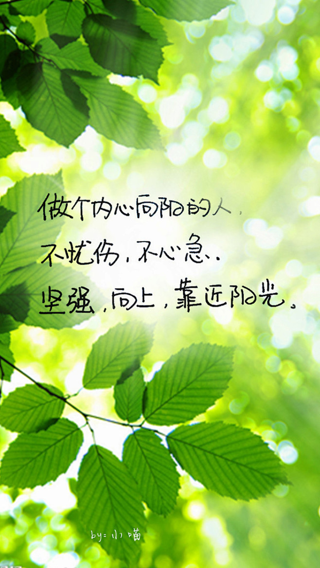 阳光