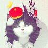╰ゝ小女人つ
