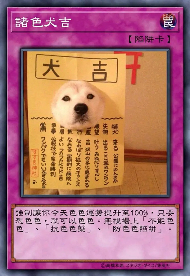 表情包色色柴犬