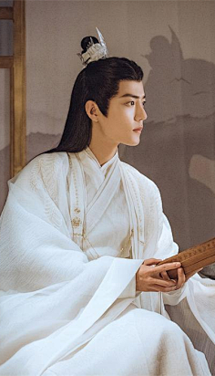 古装白衣翩翩美少年