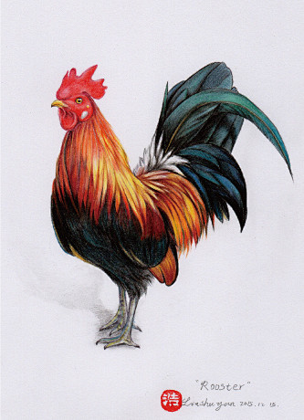 彩铅雄鸡 #彩铅# #手绘