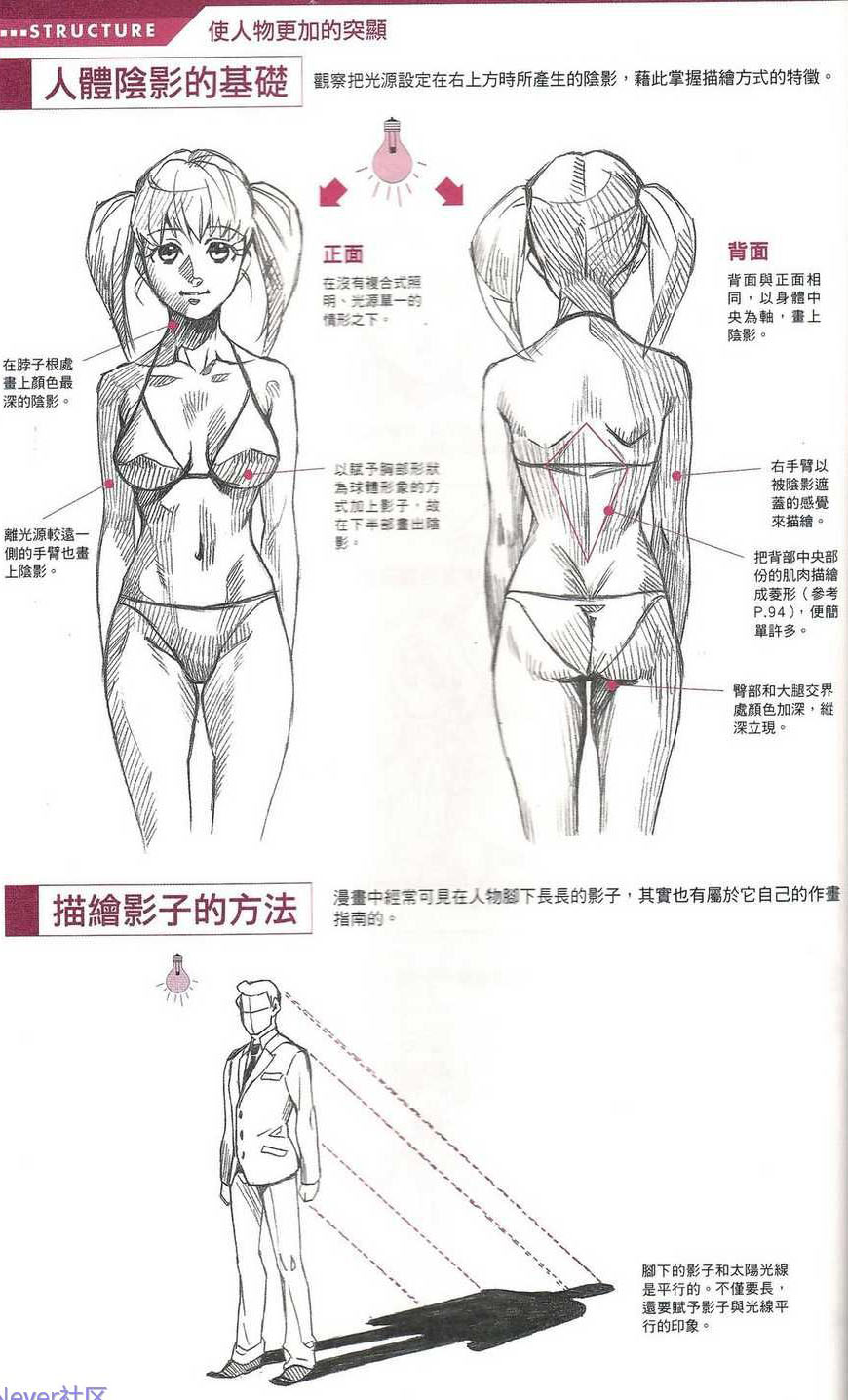 Аниме пропорции тела девушки