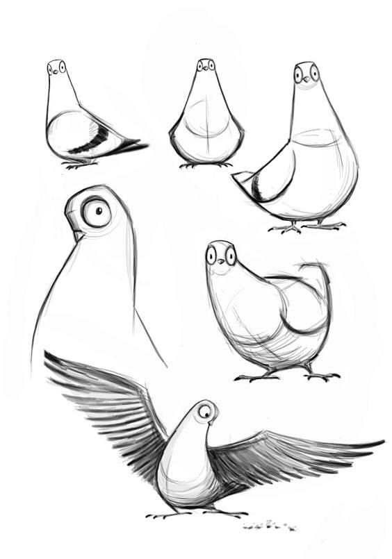 42pigeon drawing simple google search结构透视极光刺猬同采自www