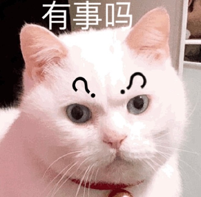 一组小毛表情包搞图的几个瞬间总感觉下一秒就要睡着困晕了睡觉了全