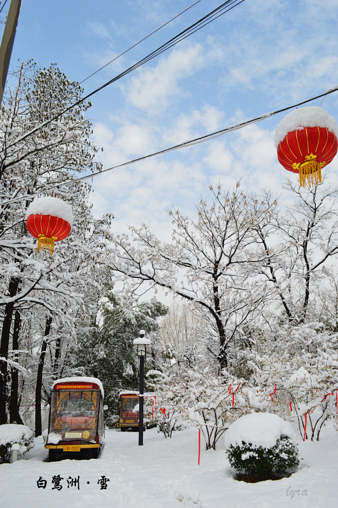 白鹭洲雪景