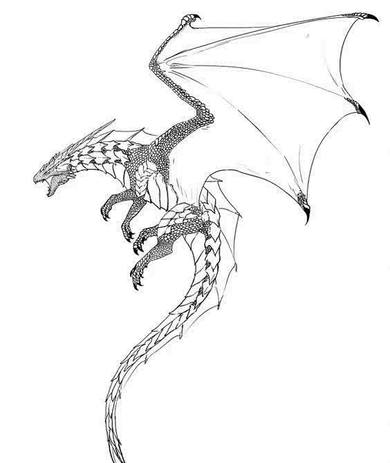 龙,翅膀.