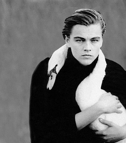 李奥纳多の天鹅