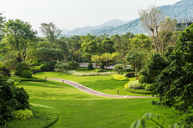 绿化地形堆坡自然地形景观广州生态园区风景图绿化地形背景林景观小