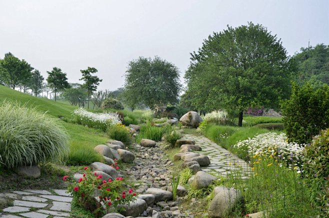 雪小喵从尖贱贱转采于2017-09-14 17:11:08旱溪景观-植物意向雪小喵同