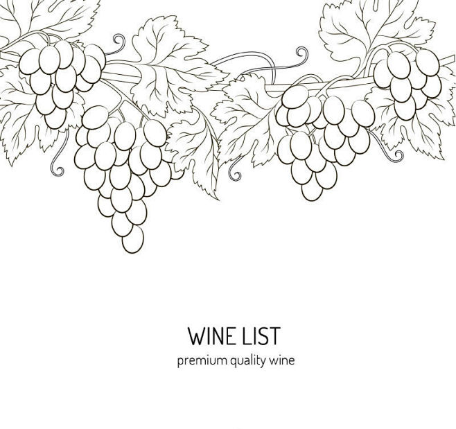 手绘葡萄藤装饰酒水单矢量素材jpg