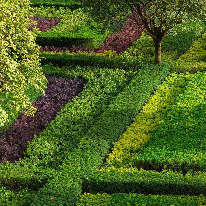 03-29 10:52:32psb (1094×1094)植物配置意向图噜啦啦啦~~~同采自r