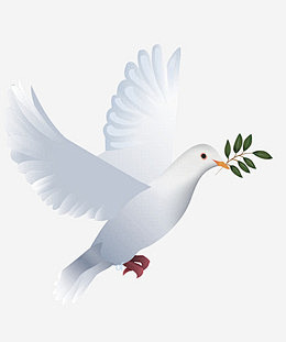 白色叼着橄榄枝的和平鸽