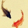 wing_he