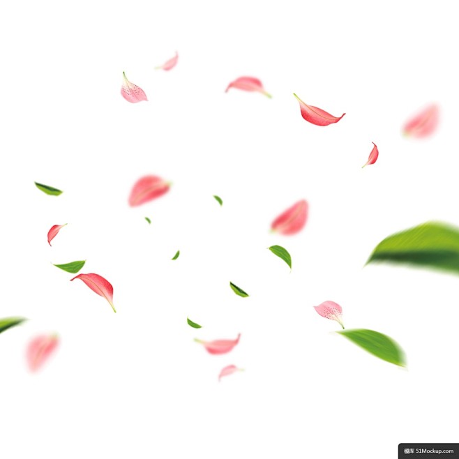 粉色桃花花瓣设计元素模板免扣png