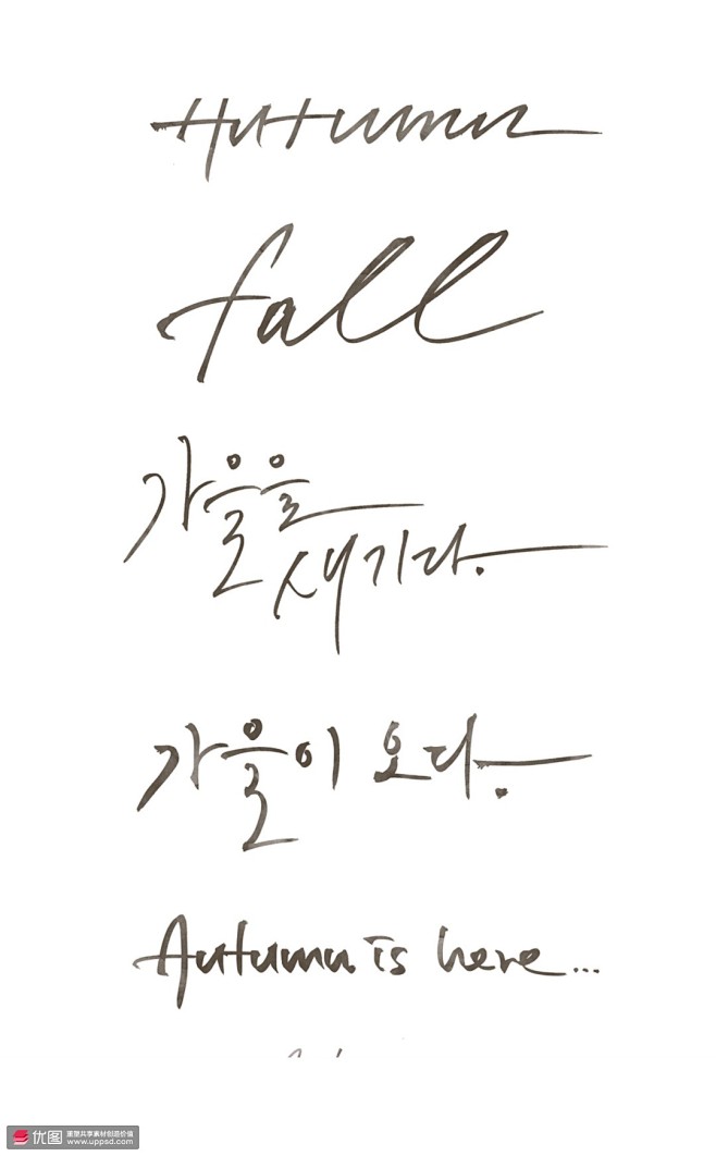 手写体秋天英文字签字黑色植物插画季节插画秋季插画