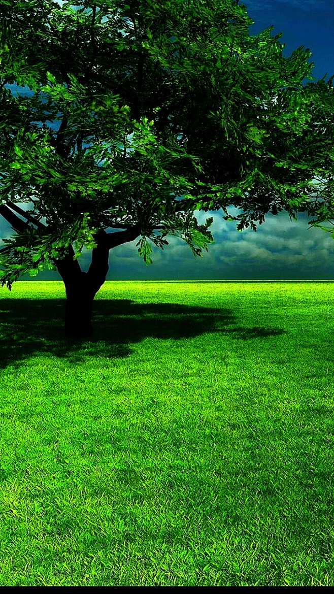 草原上的一棵树真美