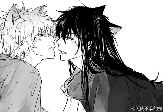 银魂银土野猫篇梗by无肉不欢的壳