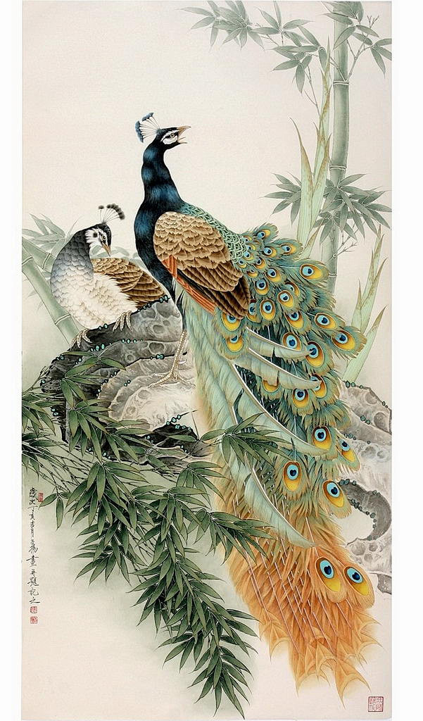 沧州工笔画孔雀