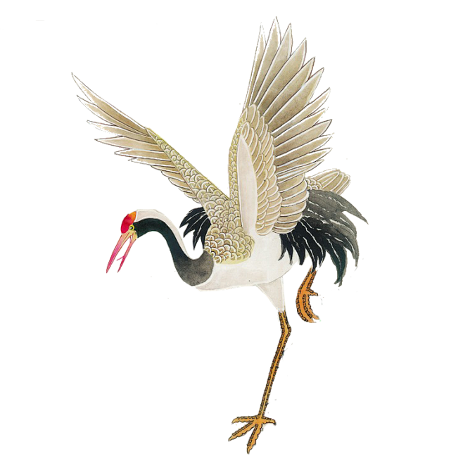 古风中国风鸟png丹顶鹤png小动物