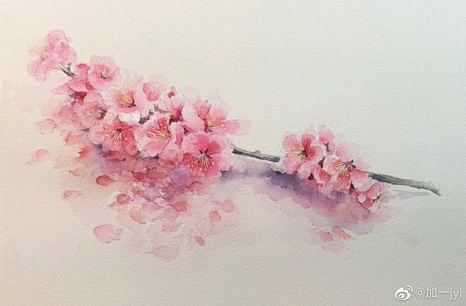 水彩桃花水彩花卉