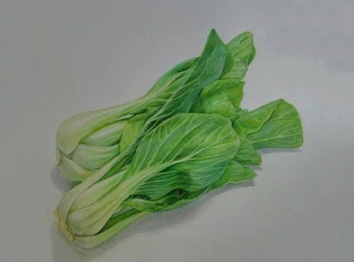 彩铅青菜