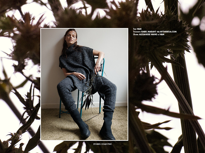 theplantaeissueacasualaffair2