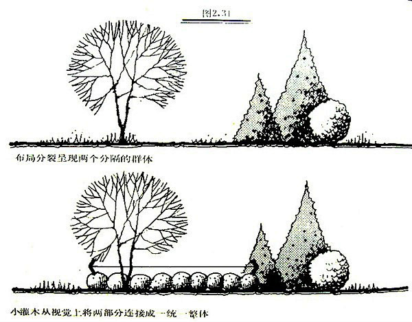 17:29:31植物空间设计把握landscape——植物配置lalalala小拉同采自