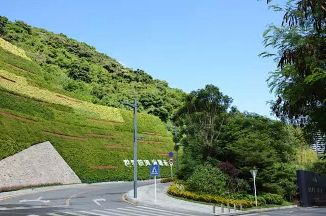 半山半画卷一方一倾城深圳最美立体绿化景观边坡