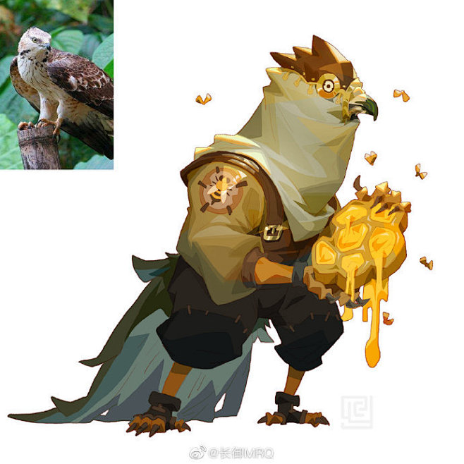 最近的猛禽小练习第二弹雪鸮金雕仓鸮凤头蜂鹰王鹫游隼大鵟安第斯神鹫